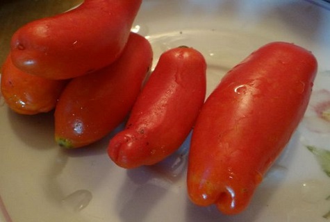 tomates mouillées