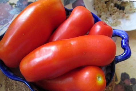 Schüssel mit Tomaten