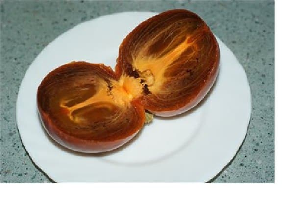 chocolate persimmon