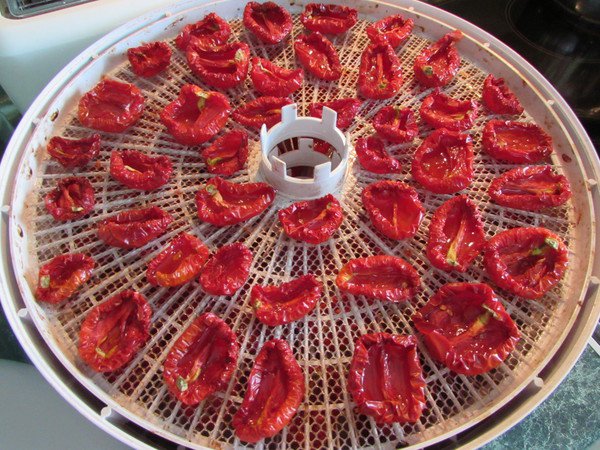 sušená rajčata