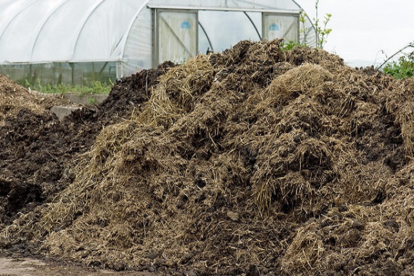 organic manure