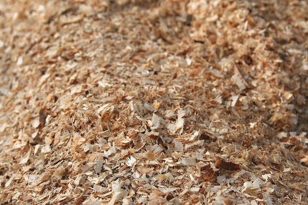 sawdust as green manure 