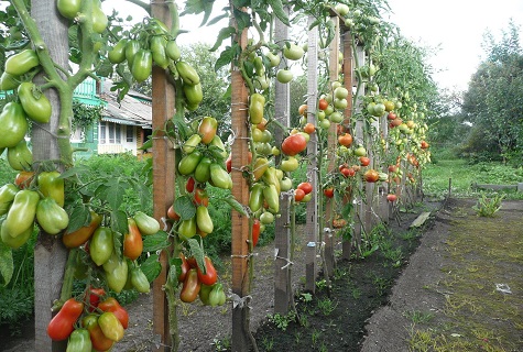 heimischer Bauernhof 