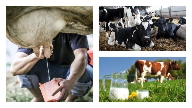 Chemische formule van melk en tabel met stoffen in de samenstelling per 100 gram, temperatuur