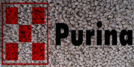 purina for pigs