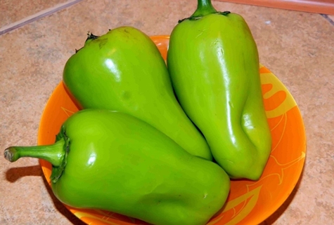 pepper variety Swallow