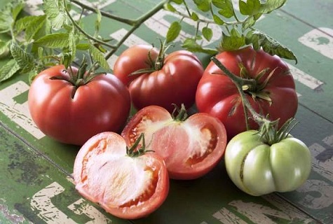 natrhaná rajčata