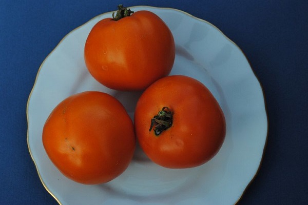 preparation for salad 