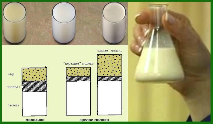 Chemical formula of milk and table of substances in the composition per 100 grams, temperature