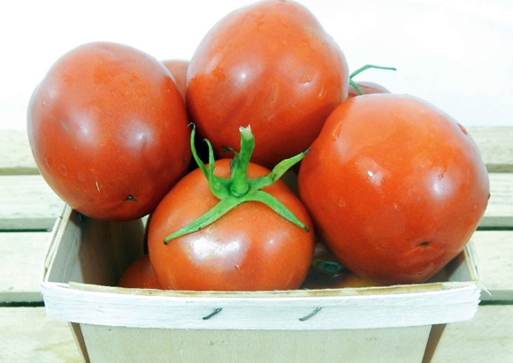 Tomaten-Geldmacher im Korb