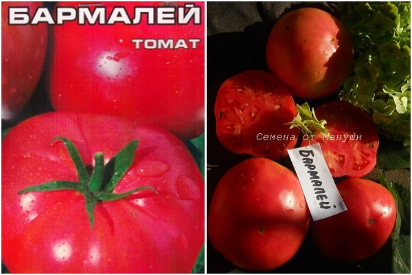 Aussehen der Barmaley-Tomate