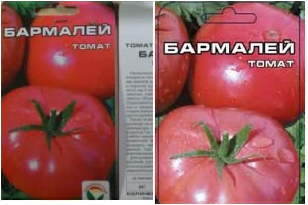 Graines de tomates Barmaley