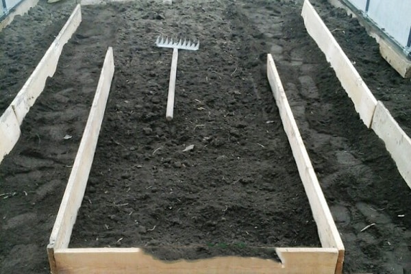 bed under cultivation 