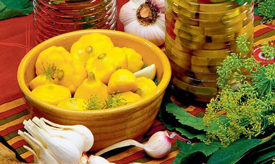 ingredients for pickling squash 