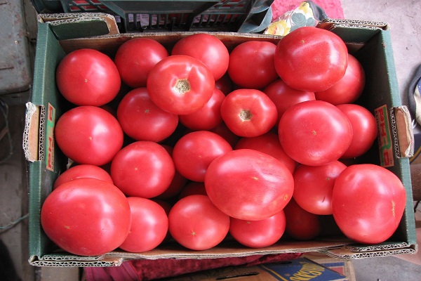 tomato box 