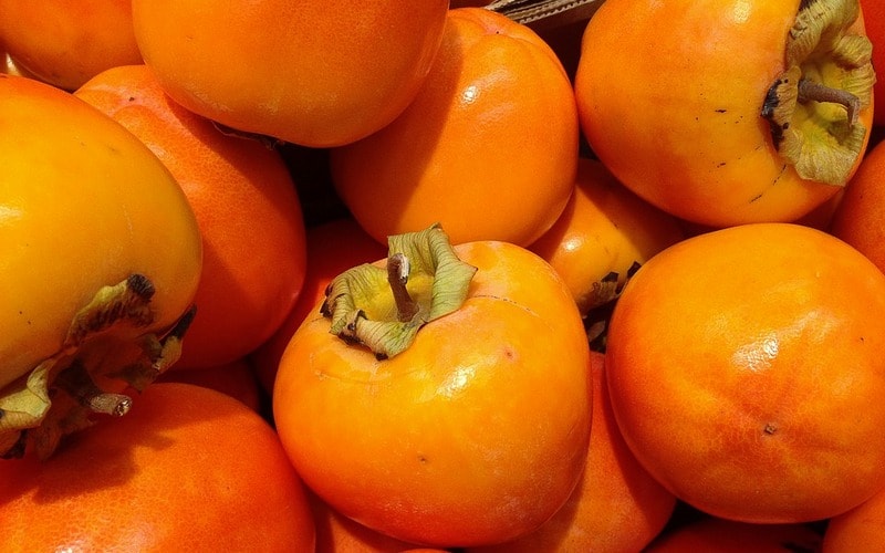 fresh persimmon