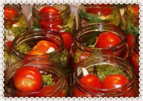 tomates reais