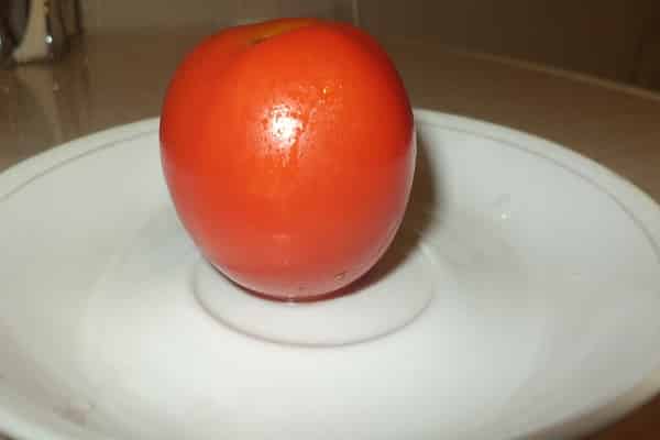 tomato yang elegan 