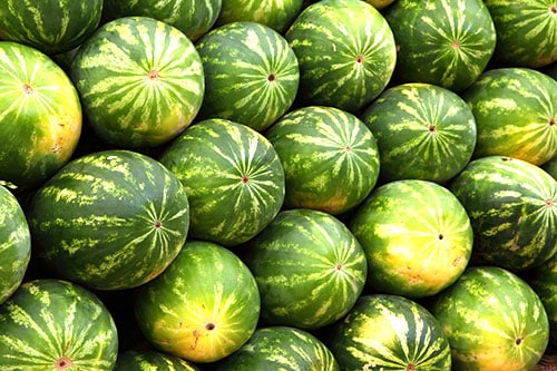 viele Wassermelonen