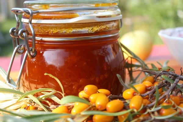 Sanddornmarmelade in einem kleinen Glas 