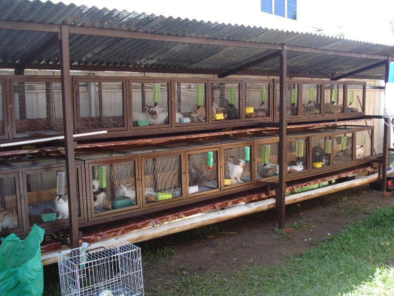 Sheds for rabbits