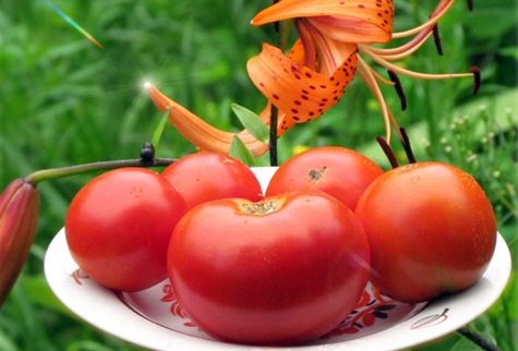 Tomate sibérienne sur une assiette