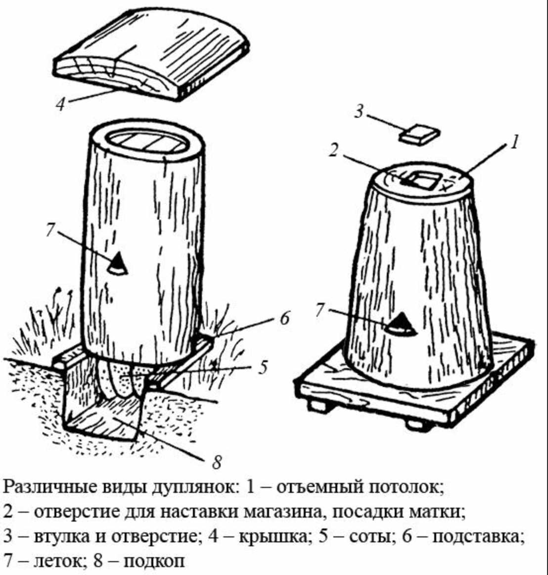 Wie man mit eigenen Händen ein Deck für Bienen macht, Zeichnungen für Anfänger