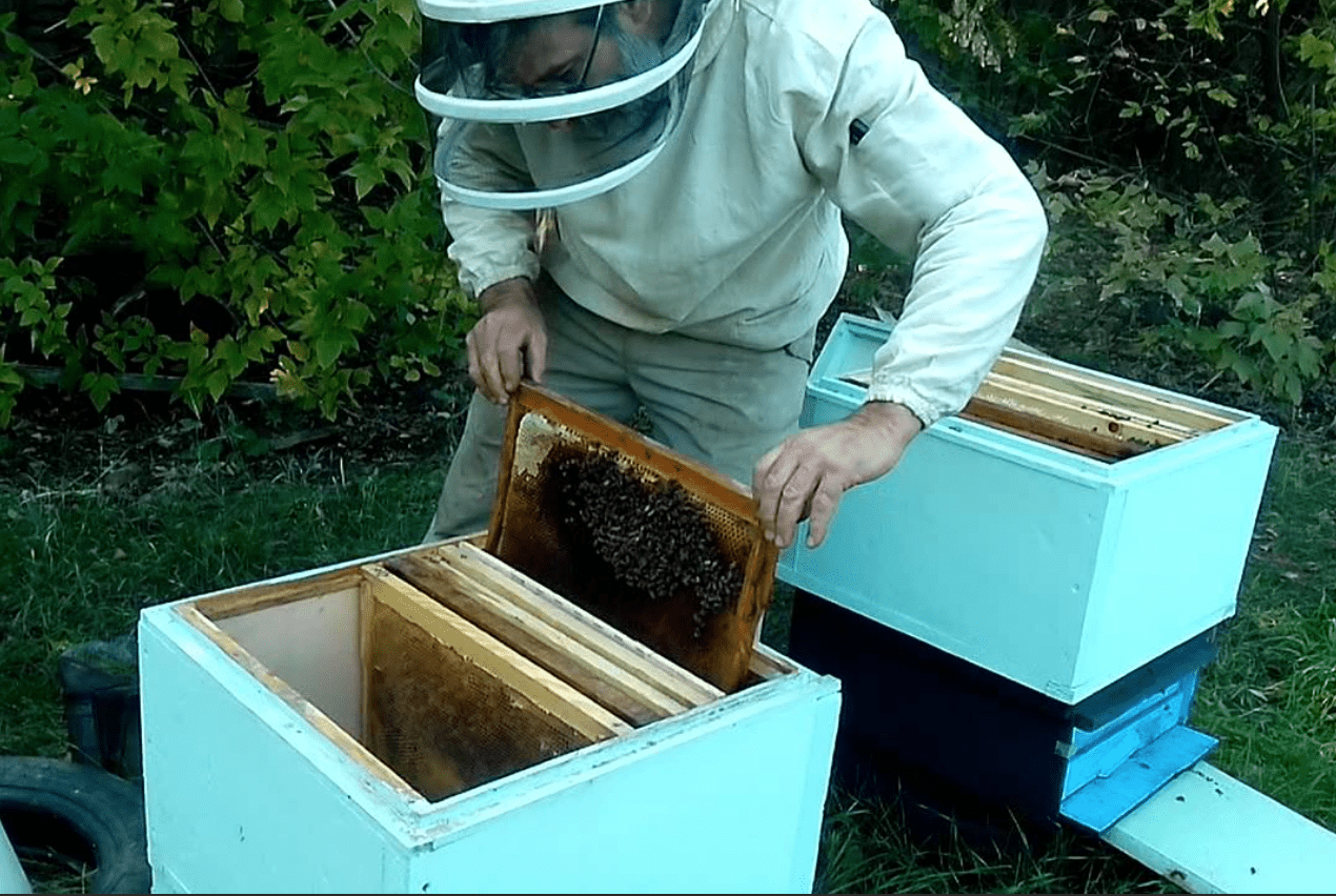 Moving the frames 