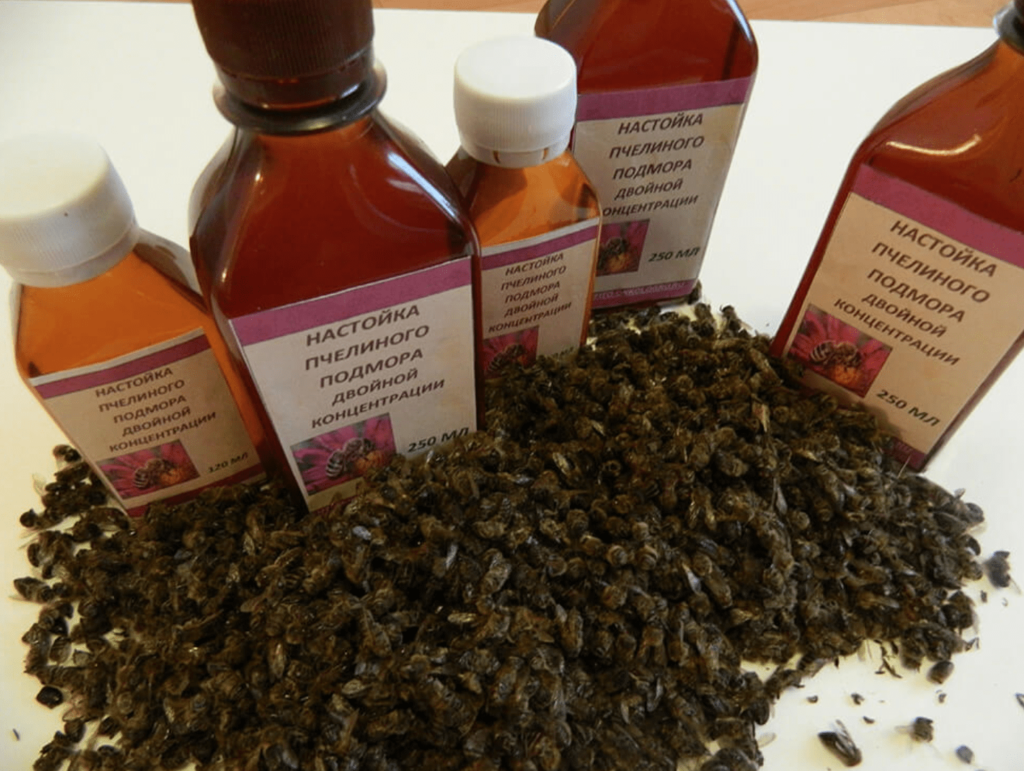 Dead bee tincture