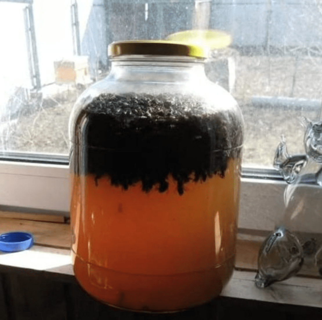 tincture of dead bees 