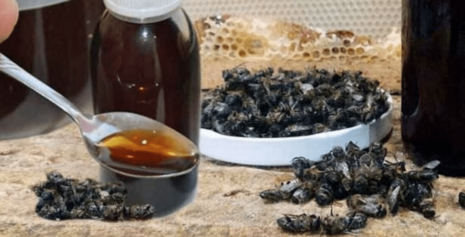 Dead bee tincture