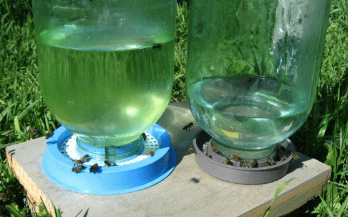 Domácí miska na pití pro včely