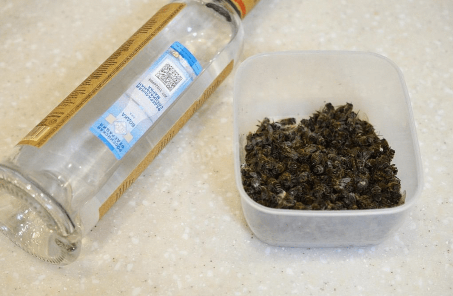 Cooking dead bees with vodka