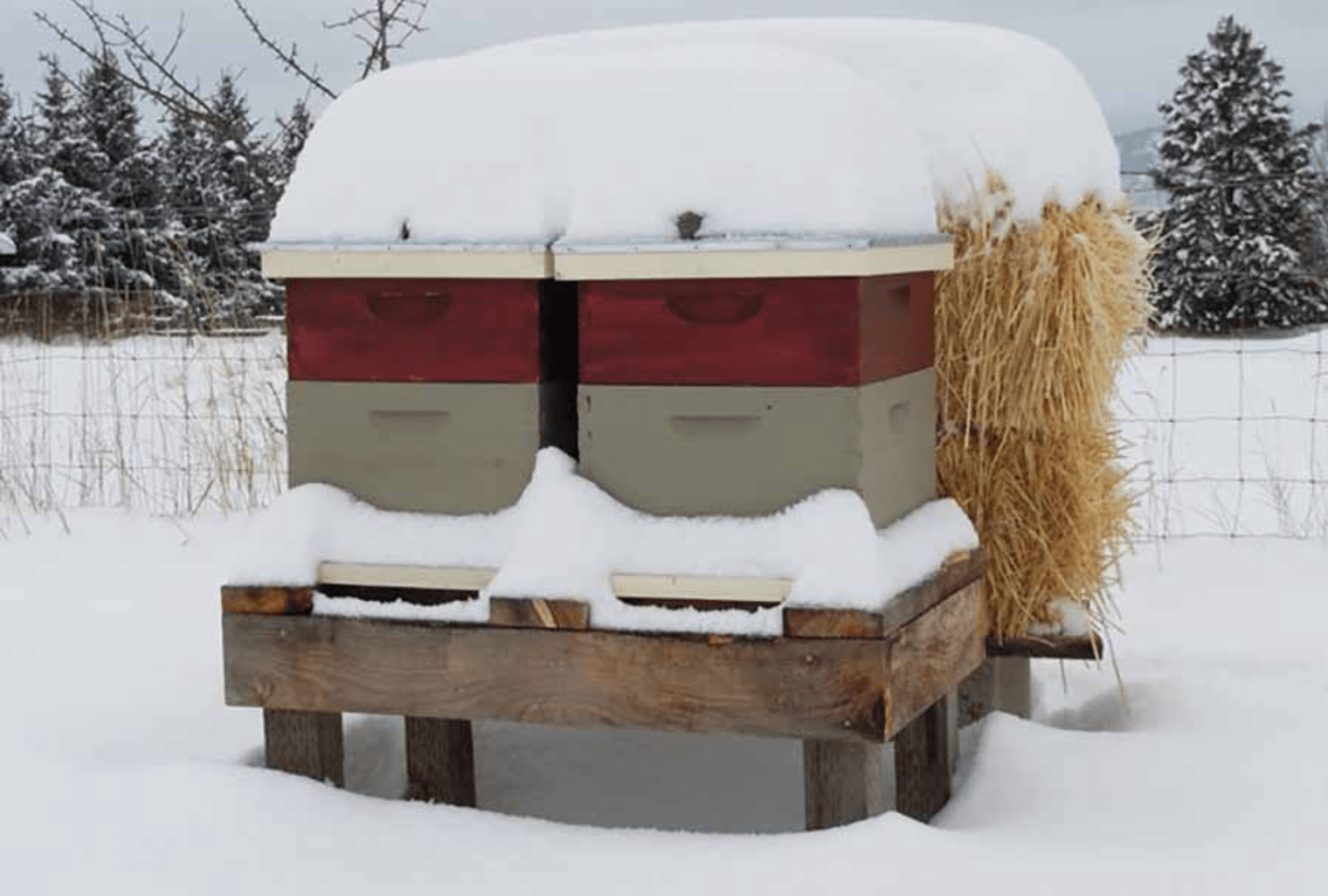 Buiten overwinteren