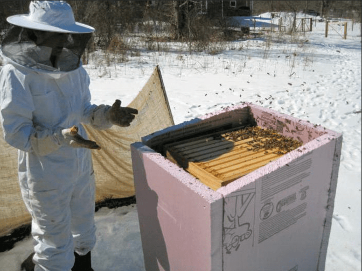 Overwintering buiten voorbereiding