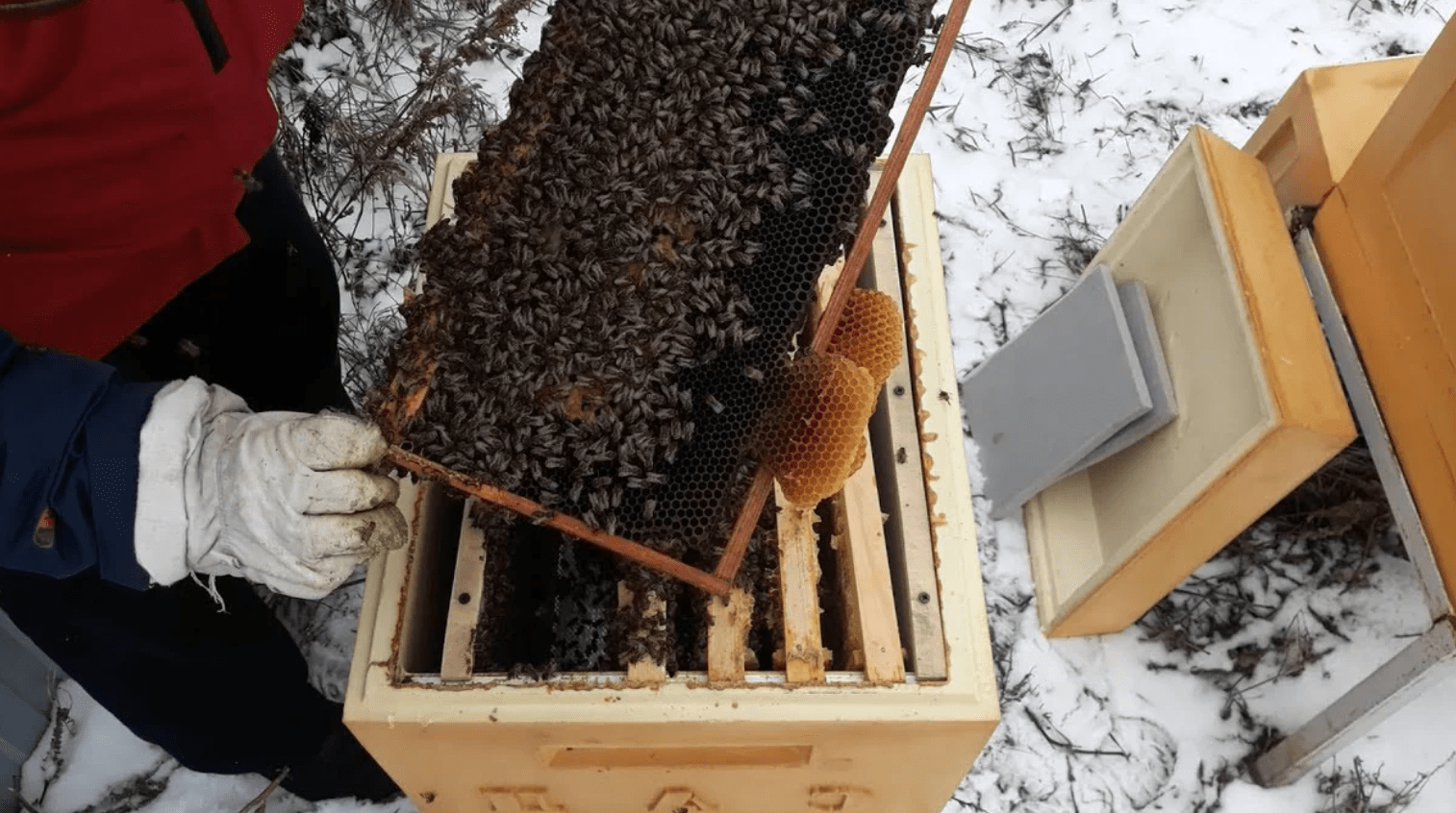 Overwinteren buiten foto