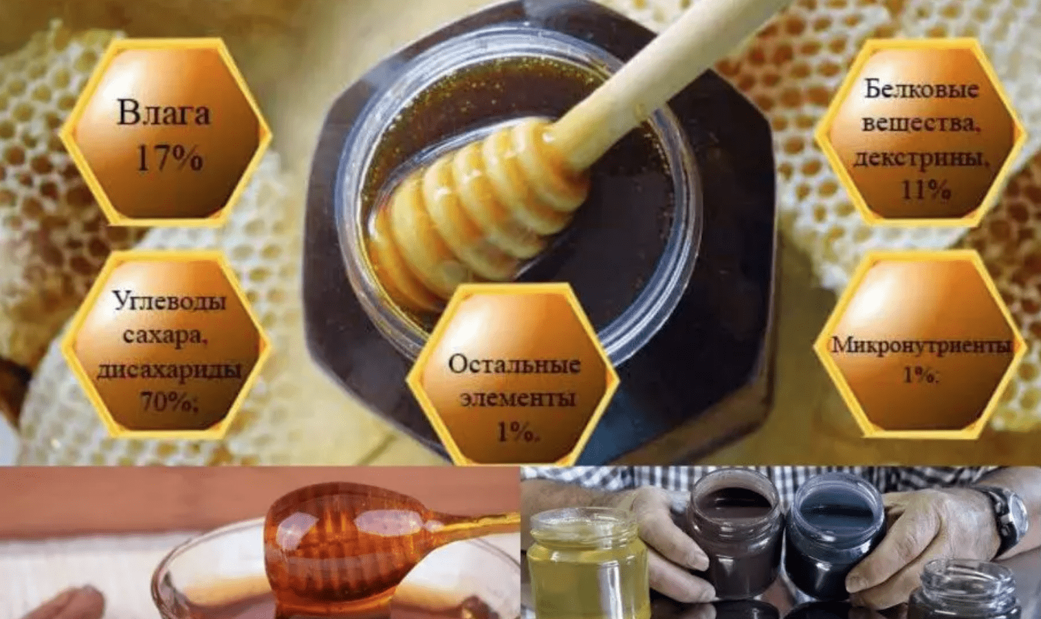 Složení a obsah kalorií medovicového medu