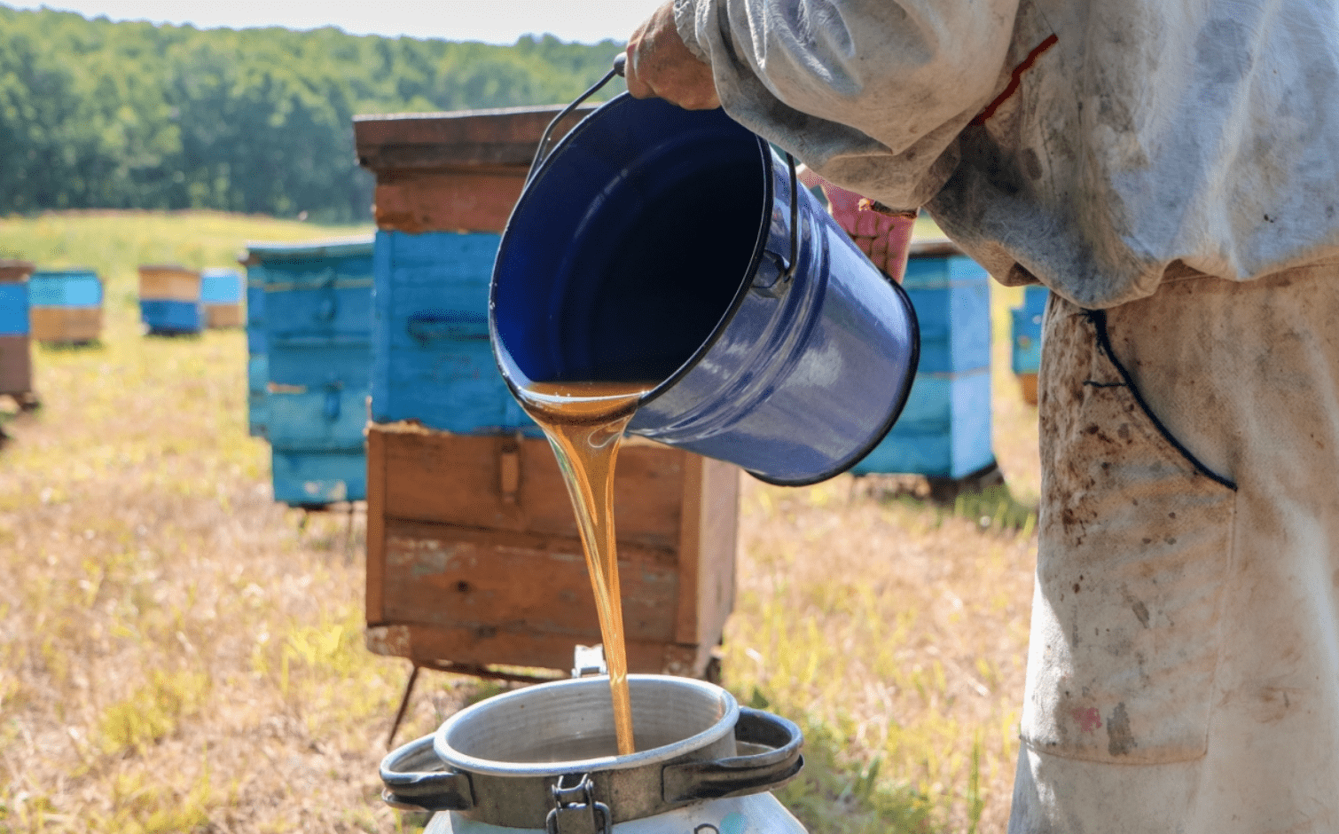 Pouring honey