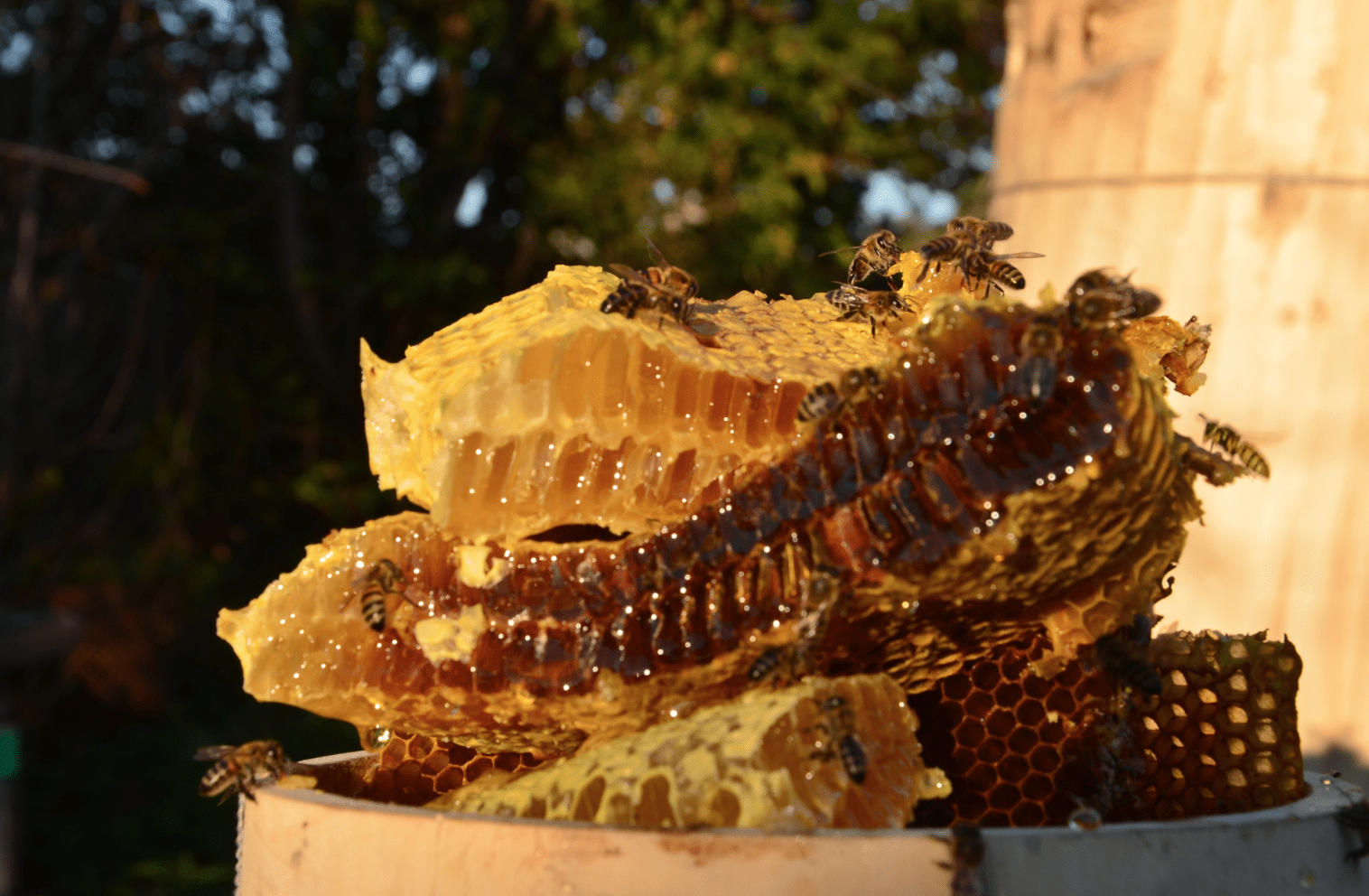 medicinska fotografija na brodu