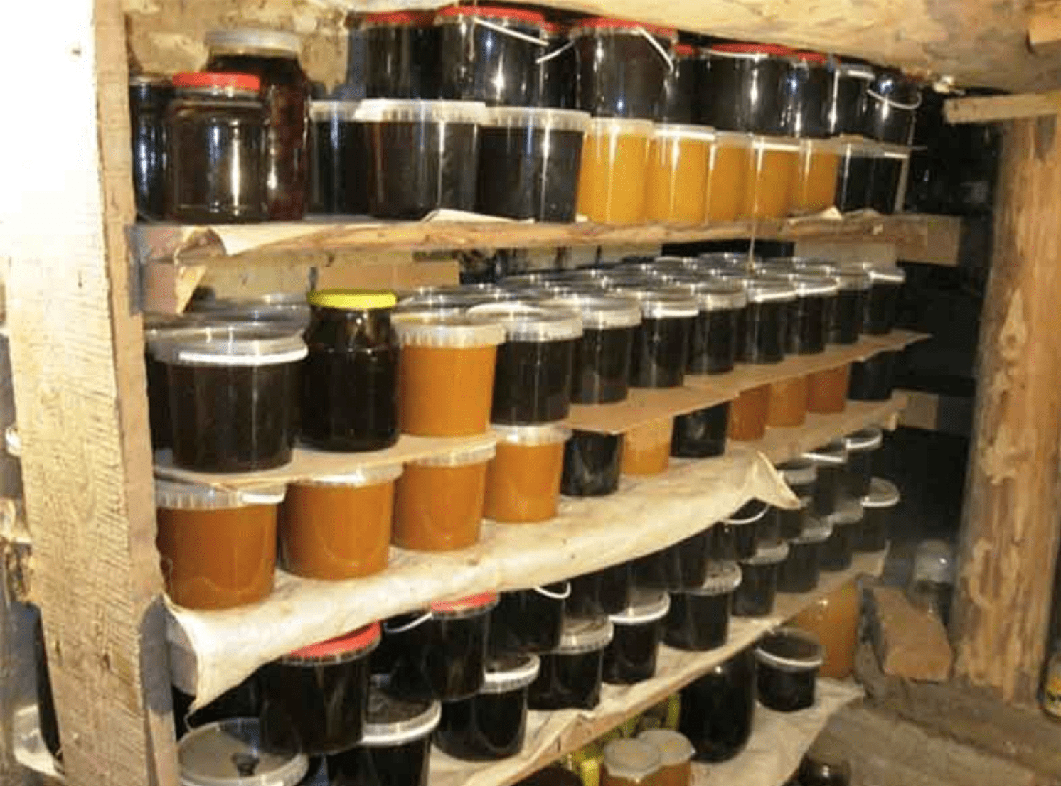 Honey in the basement