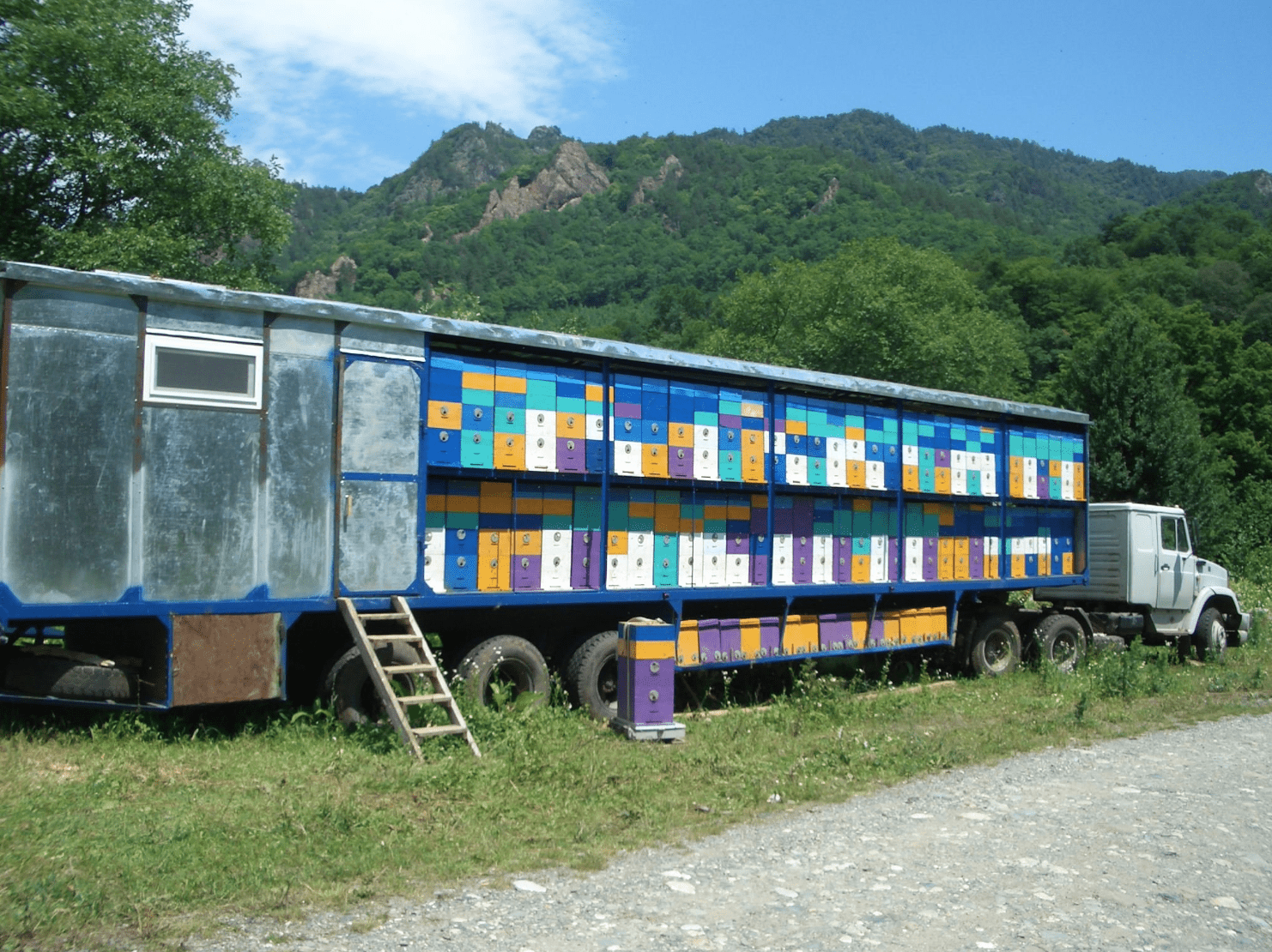 Apiary on wheels