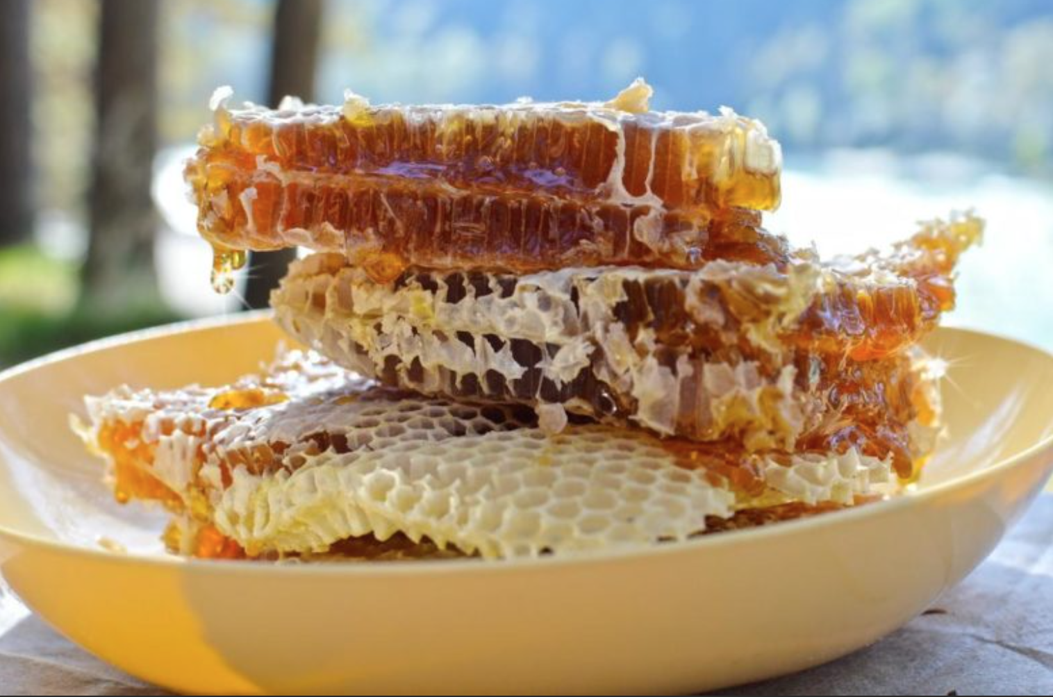 Honey comb