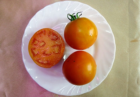 repas de tomates dans une assiette