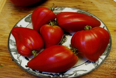 rajčata na talíři