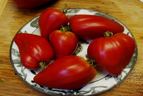 tomatoes on a plate