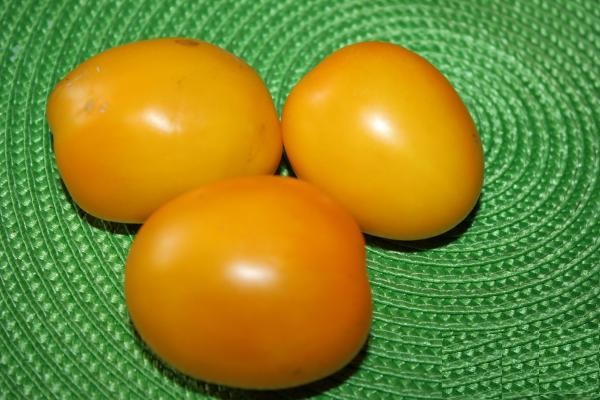 Tomate siberiano 