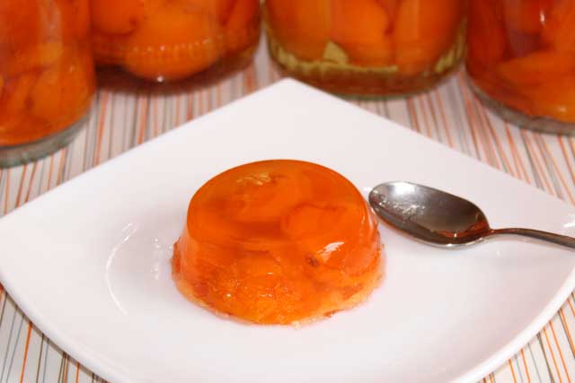 thạch mơ trên gelatin 