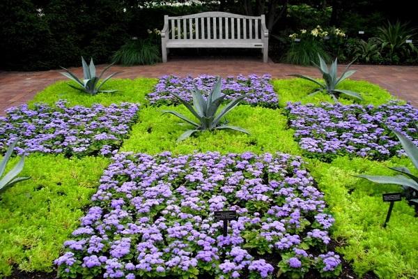 conception de parterre de fleurs 