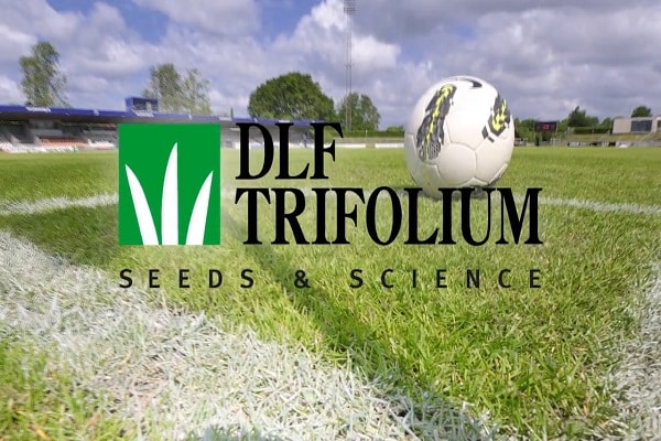 Agrofirm DLF-Trifolium