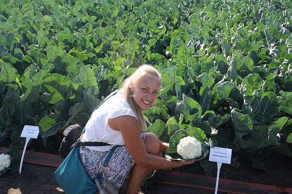 kontrola pěstiteli zeleniny